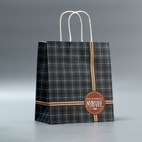 Пакет подарочный крафтовый, упаковка, &laquo;Клетка&raquo;, 22 х 25 х 12 см