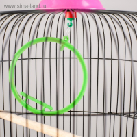 Клетка для птиц круглая, двухъярусная сварная, большой поддон, 39 x 44 см, микс цветов Клетка для птиц круглая, двухъярусная сварная, большой поддон, 39 x 44 см, микс цветов