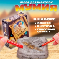 Набор археолога серия сокровища египтян &laquo;Мумия&raquo;