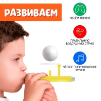 Аэробол «Авокадик» Аэробол «Авокадик»