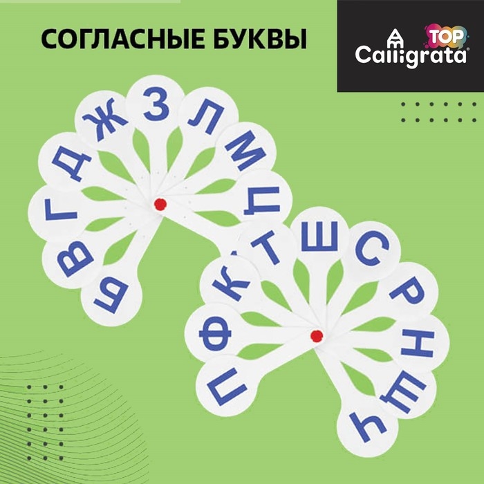 Набор веер-касс, гласные, согласные, цифры от 1 до 20, Calligrata TOP, плотные, 3 штуки, пакет с европодвесом Набор веер-касс, гласные, согласные, цифры от 1 до 20, Calligrata TOP, плотные, 3 штуки, пакет с европодвесом