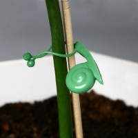 Крепления для вьющихся растений, настенные, самоклеящиеся, &laquo;Улитка&raquo;, d = 10 мм, набор 10 шт., Greengo