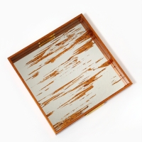 Поднос пластиковый прямоугольный с зеркалом &laquo;Штрихи&raquo;, 37 х 37 х 4,5 см сервировочный