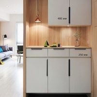 Ручка торцевая CAPPIO RT002BL, L=400 мм, м/о 256 мм, цвет черный Ручка торцевая CAPPIO RT002BL, L=400 мм, м/о 256 мм, цвет черный