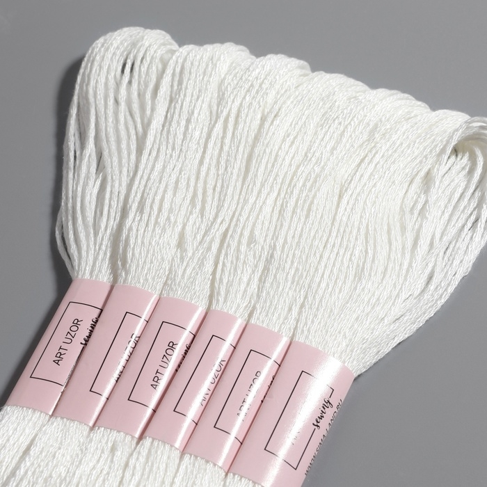 Нитки мулине &laquo;Blanc&raquo;, 8 &plusmn; 1 м, 6 шт, цвет белый