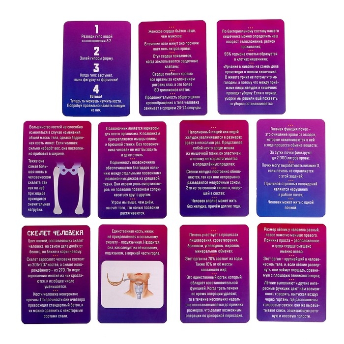 Набор для опытов &laquo;Мир внутри меня&raquo;