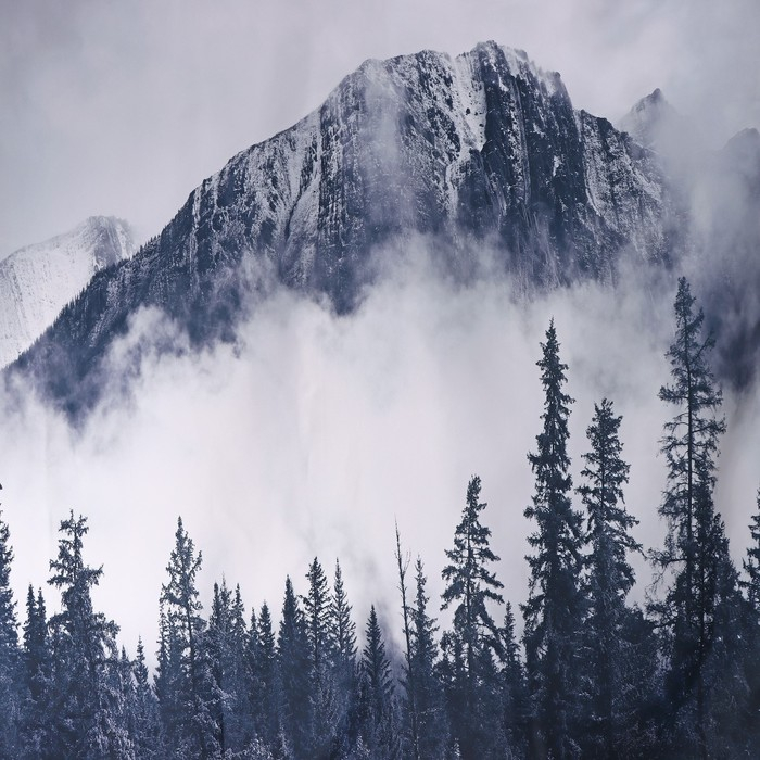 Штора для ванны Доляна &laquo;Сумерки&raquo; с люверсами, 180&times;180 см