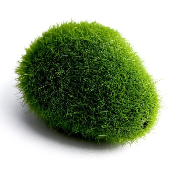 Основа для творчества &laquo;Камень со мхом&raquo; набор 4 шт., размер 1 шт. &mdash; 5 &times; 1,5 &times; 3 см