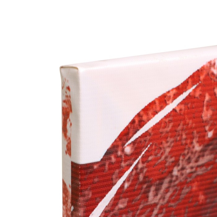 Ширма интерьерная (панель доборная) Ширма интерьерная (панель доборная) "Роковые девушки №2", 50 х 160 см (петли в комплекте)