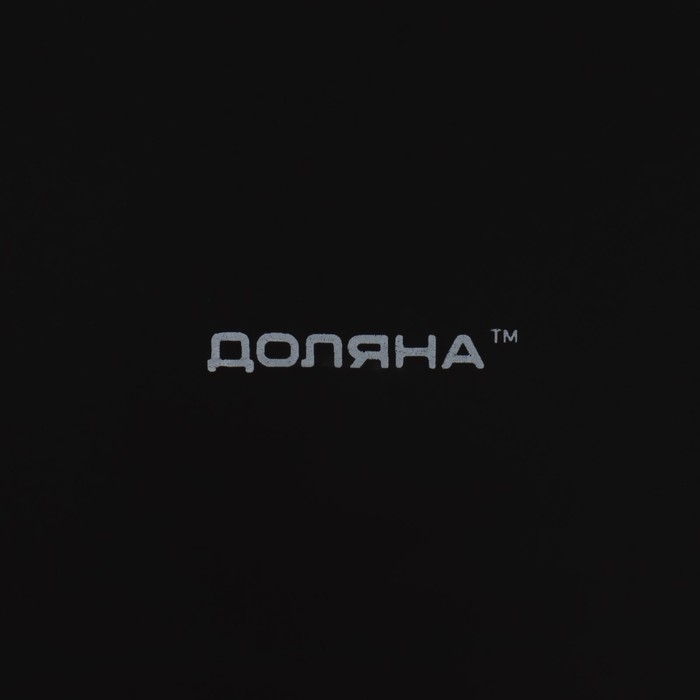Тарелка керамическая обеденная Доляна &laquo;Ваниль&raquo;, d=27 см, цвет чёрный