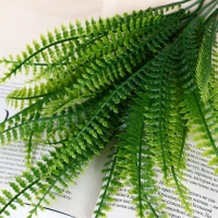 Букет "Лесной папоротник" 28 см Букет "Лесной папоротник" 28 см