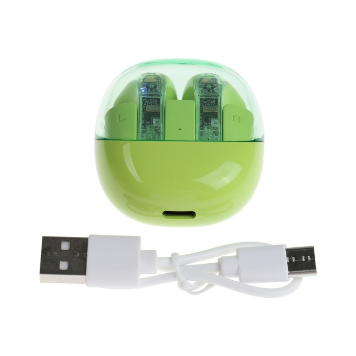 Наушники беспроводные R20, TWS, вкладыши, BT 5.3 , 30/200 мАч, шумоподавление, зелёные Наушники беспроводные R20, TWS, вкладыши, BT 5.3 , 30/200 мАч, шумоподавление, зелёные