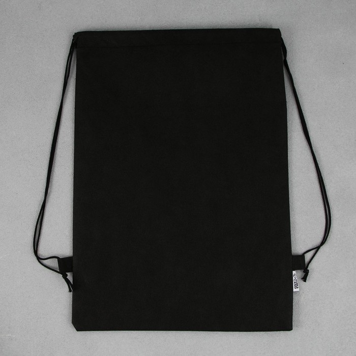 Мешок для обуви &laquo;1 сентября: T-REX динозавр&raquo; нетканное полотно, размер 30 х 40 см