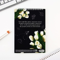 Подарочный набор &laquo;Лучшему учителю&raquo;: блокнот А5, 40 листов, ручка