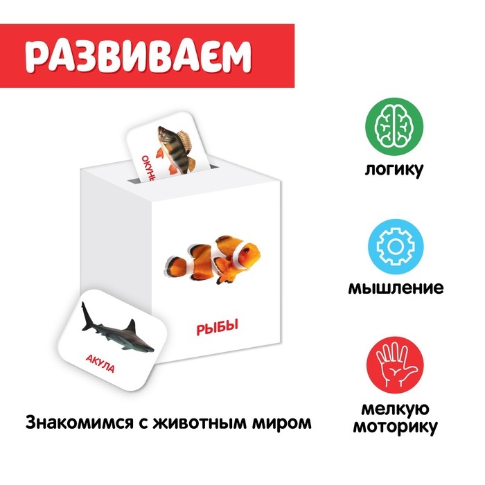 Сортер-копилка &laquo;Животные&raquo; по методике Г. Домана