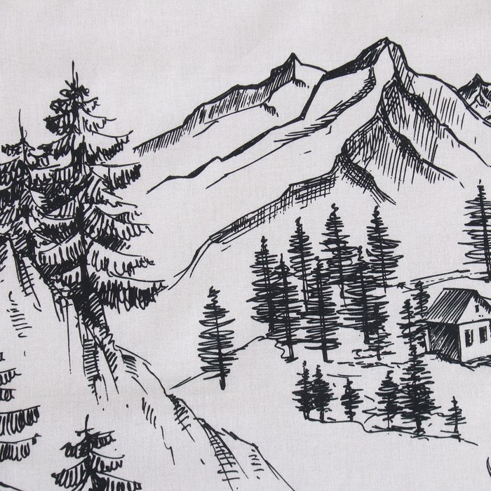 Постельное бельё &laquo;Этель&raquo; евро Winter landscape 200х217 см,220х240 см,50х70 см -2 шт, поплин