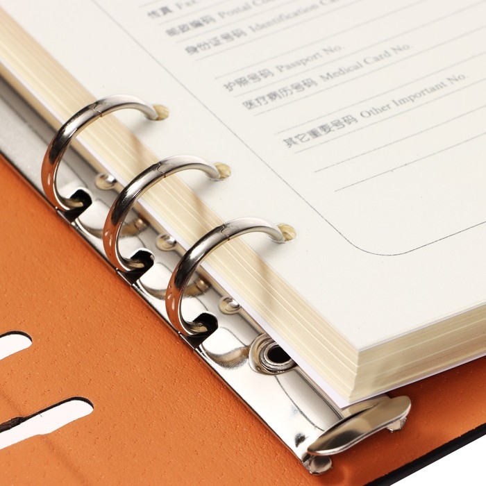 Органайзер на кольцах, формат А5, 90 листов, линия, с хлястиком, обложка кожзам МИКС Органайзер на кольцах, формат А5, 90 листов, линия, с хлястиком, обложка кожзам МИКС