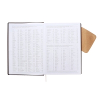 Ежедневник 205х150 мм 168 листов, кожзам, блок 70 г/м2, ляссе, магнитный хлястик, коричневый