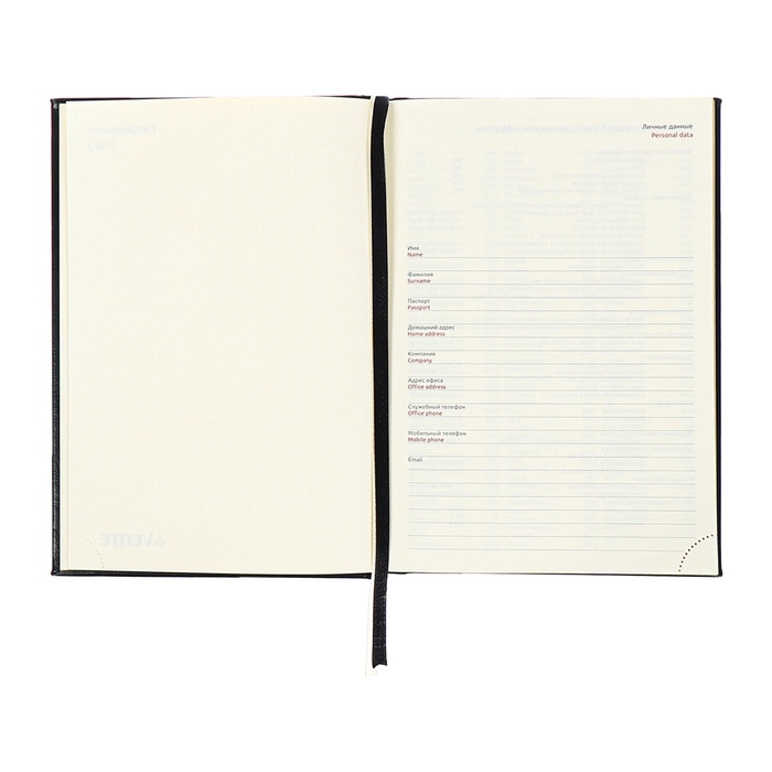 Ежедневник недатированный A5, 176 листов, deVENTE.Symbol, твёрдая обложка из искусственной кожи с поролоном, золотой срез, блок 70 г/м2, чёрный