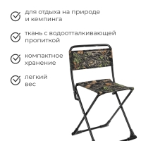 Стул складной Nika, 38 х 35 х 65 см, принт дубовые листья Стул складной Nika, 38 х 35 х 65 см, принт дубовые листья