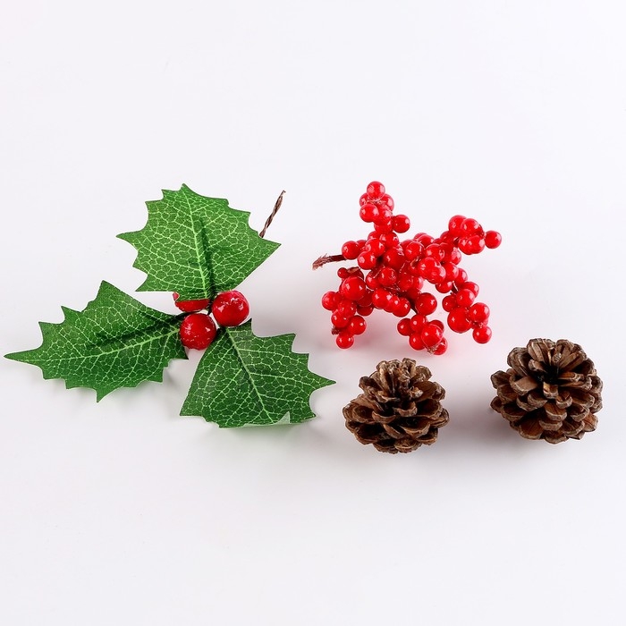 Набор для творчества &laquo;Материалы для зимних поделок. Шишки, веточки&raquo;