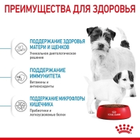 Сухой корм RC Mini Starter Mother & Babydog для щенков, 1 кг Сухой корм RC Mini Starter Mother & Babydog для щенков, 1 кг