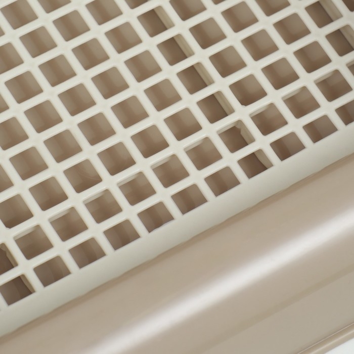 Туалет для собак с высокими бортами и съемной сеткой 43х43х15 см, бежевый