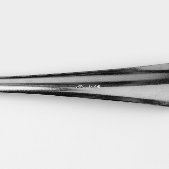 Ложка столовая &laquo;Новинка&raquo;, длина 19,8 см, толщина 1,2 мм, упрощённой обработки, цвет серебряный