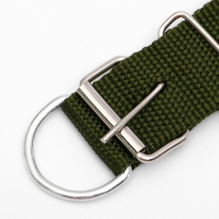 Ошейник клепаный, 48,5 х 3 см, ОШ 31-40 см, полиэстер, тёмно-зелёный Ошейник клепаный, 48,5 х 3 см, ОШ 31-40 см, полиэстер, тёмно-зелёный