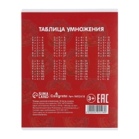 Комплект тетрадей из 10 штук, 24 листа в клетку Calligrata "Сочный Микс. Паттерн", обложка мелованная бумага, ВД-лак, блок №2, белизна 75% (серые листы), 5 видов по 2 штуки