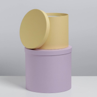 Набор коробок 5 в 1, упаковка подарочная, &laquo;Пастельный&raquo;, 13 х 13,5‒19.5 х 23 см