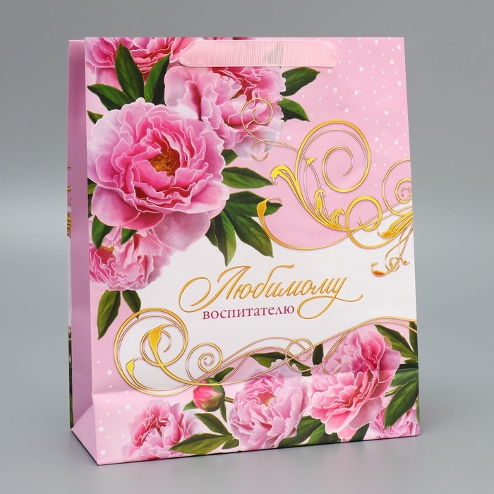 Пакет подарочный ламинированный, упаковка, &laquo;Воспитателю&raquo;, ML 21 х 25 х 8 см
