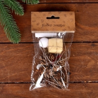 Набор новогоднего декора "Незабываемый праздник" размер шишек: 1,5 × 2 см Набор новогоднего декора "Незабываемый праздник" размер шишек: 1,5 × 2 см