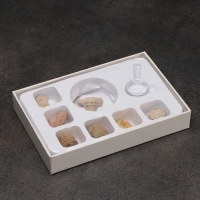 Набор "Аммониты" Набор "Аммониты"