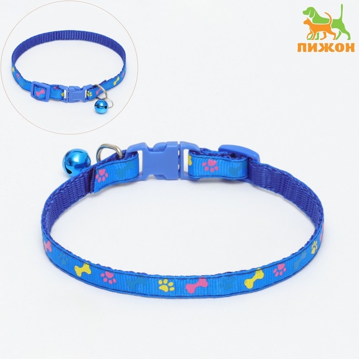 Ошейник двухслойный с фастексом Ошейник двухслойный с фастексом "Разноцветные косточки" 30 х 1 см, синий