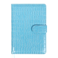 Ежедневник датированный 2025 года A5, 168 листов, deVENTE. Barbara, твердая обложка кожзам с поролоном, перфорацией, ляссе, блок 70, голубой Ежедневник датированный 2025 года A5, 168 листов, deVENTE. Barbara, твердая обложка кожзам с поролоном, перфорацией, ляссе, блок 70, голубой