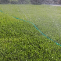 Шланг для капельного полива, сочащийся, d = 12 мм (1/2"), L = 7.5 м, Greengo Шланг для капельного полива, сочащийся, d = 12 мм (1/2"), L = 7.5 м, Greengo