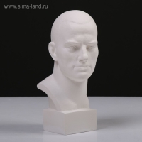 Гипсовая фигура известные люди: Бюст Маяковского, 9,5 х 11 х 23 см Гипсовая фигура известные люди: Бюст Маяковского, 9,5 х 11 х 23 см