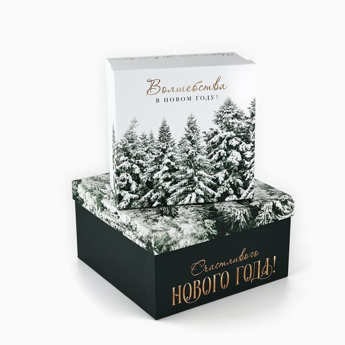 Набор подарочных коробк 5 в 1 &laquo;Снежная зима&raquo;, 14 х 14 х 8&ndash;22 х 22 х12 см, Новый год