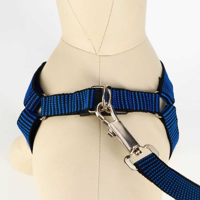 Комплект амуниции рельефный, поводок 120 х 2 см, ОГ 44-50 см, сине-чёрный Комплект амуниции рельефный, поводок 120 х 2 см, ОГ 44-50 см, сине-чёрный