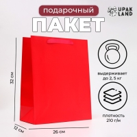 Пакет ламинированный &laquo;Фуксия&raquo;, M 26 &times; 32 &times; 12 см