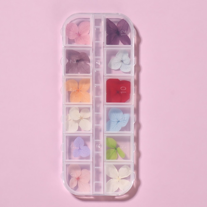 Сухоцветы для декора ногтей «Нежность», объёмные, 12 видов, в футляре, разноцветные Сухоцветы для декора ногтей «Нежность», объёмные, 12 видов, в футляре, разноцветные