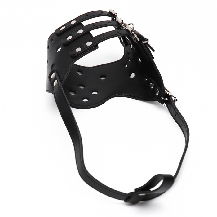 Намордник из прессованной кожи регулируемый, №5, ДН 9,3 см, ОМ 32-40 см, чёрный Намордник из прессованной кожи регулируемый, №5, ДН 9,3 см, ОМ 32-40 см, чёрный