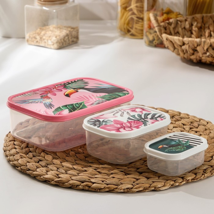 Набор контейнеров пищевых Доляна &laquo;Тропики&raquo;, 3 шт: 150 мл, 500 мл, 1,2 л, прямоугольные