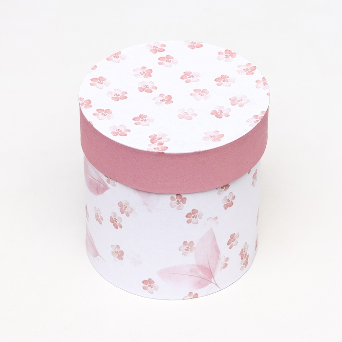 Набор шляпных коробок 5 в1 "Легкость", 20 х 20 - 15 х 15 см