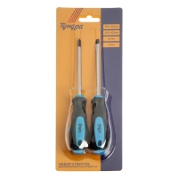 Набор отверток ТУНДРА, сатин, магнит, двухкомпонентные рукоятки, PH1 и SL5 х 100 мм, 2 шт. Набор отверток ТУНДРА, сатин, магнит, двухкомпонентные рукоятки, PH1 и SL5 х 100 мм, 2 шт.