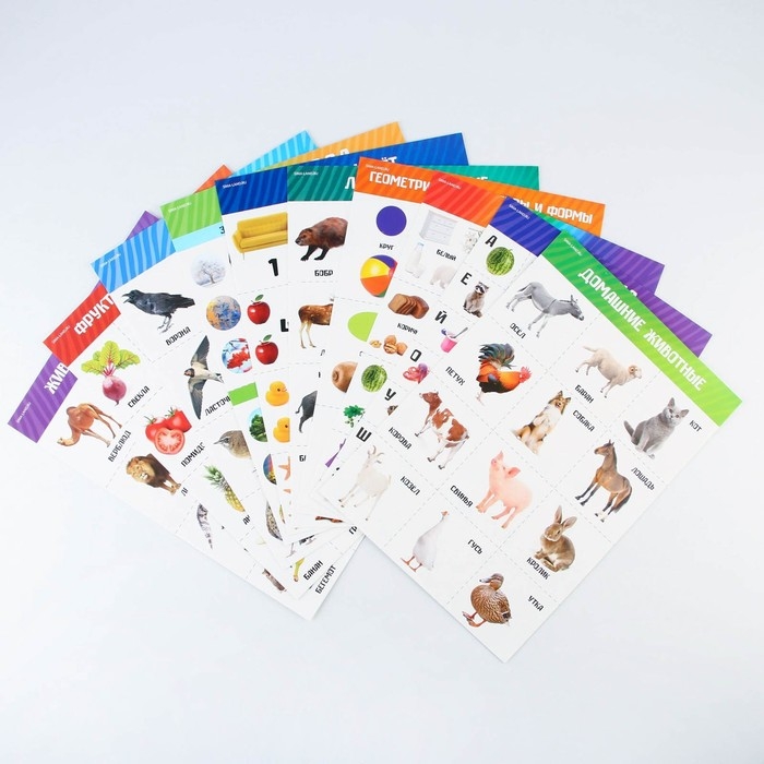 Набор обучающих плакатов «Изучаем мир», 10 в 1, А4 Набор обучающих плакатов «Изучаем мир», 10 в 1, А4