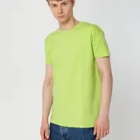 Футболка Regent 150, "зеленое яблоко", размер M