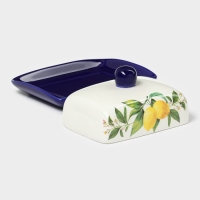 Маслёнка Доляна &laquo;Лимон&raquo;, 17&times;12&times;8,5 см, цвет белый