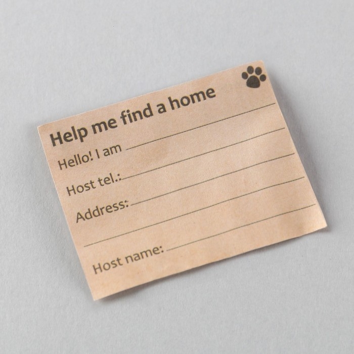 Адресник &laquo;Верный спутник&raquo; для вложения записки, капсула 5.2х1.4 см